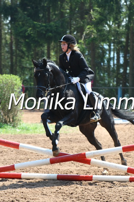 204M2753_Bajazzo_Spring RWB.JPG